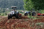 Calendário para Corte de Terra 2025